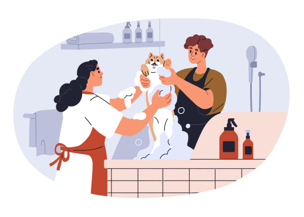 Facebook and Instagram Advertising for Pet Grooming Salons: How to Reach Pet Owners2