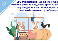 SEO для компаний, занимающихся производством и продажей органических кормов для животных: Как привлекать владельцев домашних любимцев