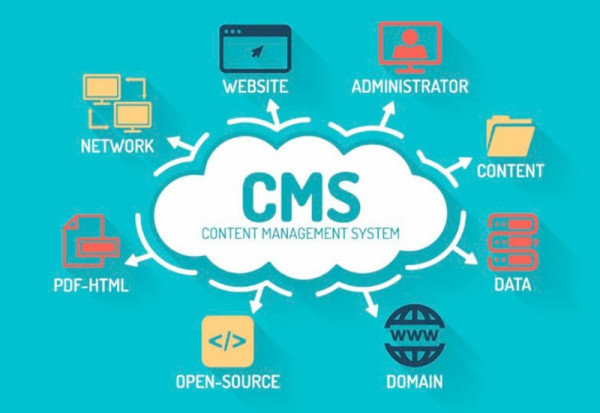 Website creation: which CMS is better?6
