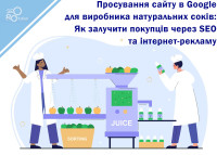 Website Promotion in Google for a Natural Juice Manufacturer: How to Attract Buyers through SEO and Online Advertising