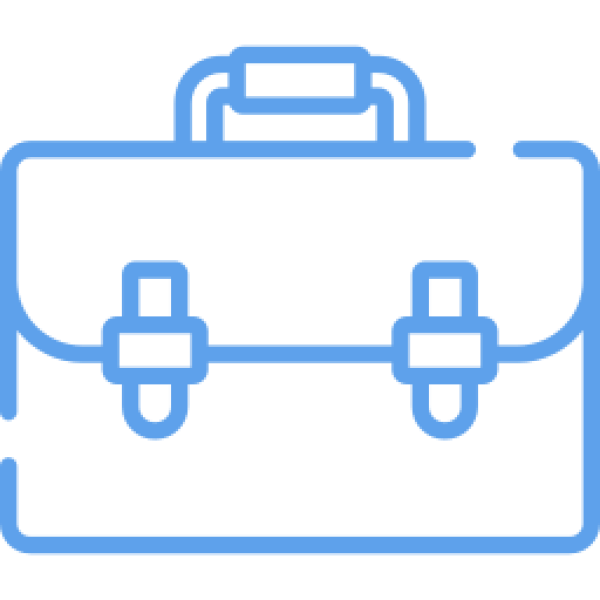 8 years of experience in website development and SEO promotion